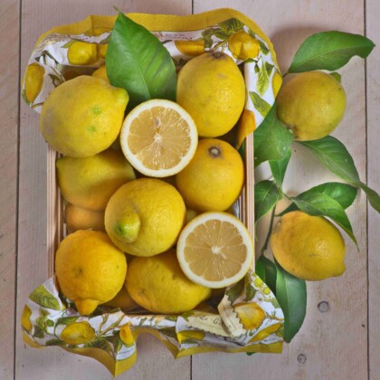 Bio Zitronen frisch von Sizilien liegen in einer kleinen Holzsteige, die mit Servietten mit Zitronenbildern ausgelegt sind. Zwei aufgeschnittene Zitronenhälften liegen dekorativ darauf, sowie am rechten Rand frische grüne Zitronenblätter.