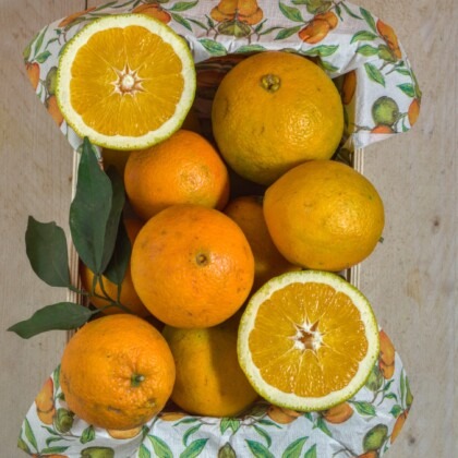 Orangen bio von Sizilien. In einem rechteckigen Körbchen liegen mehrere vollreife Orangen. In einer Diagonale liegen je eine aufgeschnittene Orange an der Ecke. Das Körbchen ist mit einem Stoff mit Orangen-Dekor ausgeschlagen.
